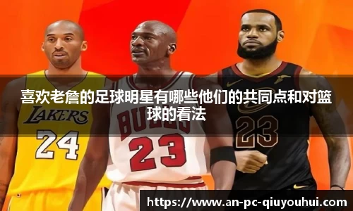 球友会体育